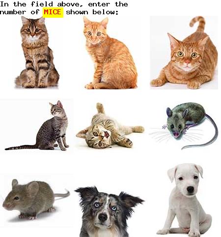 captcha to verify human, not robot